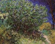 Vincent Van Gogh Bushes painting
